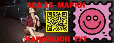 молекула духа Новозыбков
