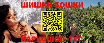 молекула духа Новозыбков