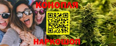 молекула духа Новозыбков