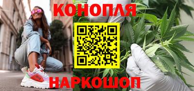 молекула духа Новозыбков