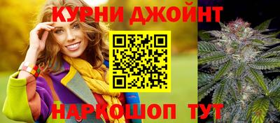 молекула духа Новозыбков