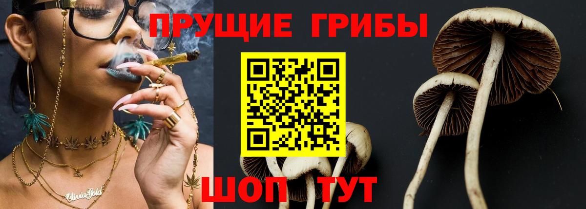 Псилоцибиновые грибы Magic Shrooms  Псилоцибиновые грибы Cubensis  Саранск  Вход с VPN 